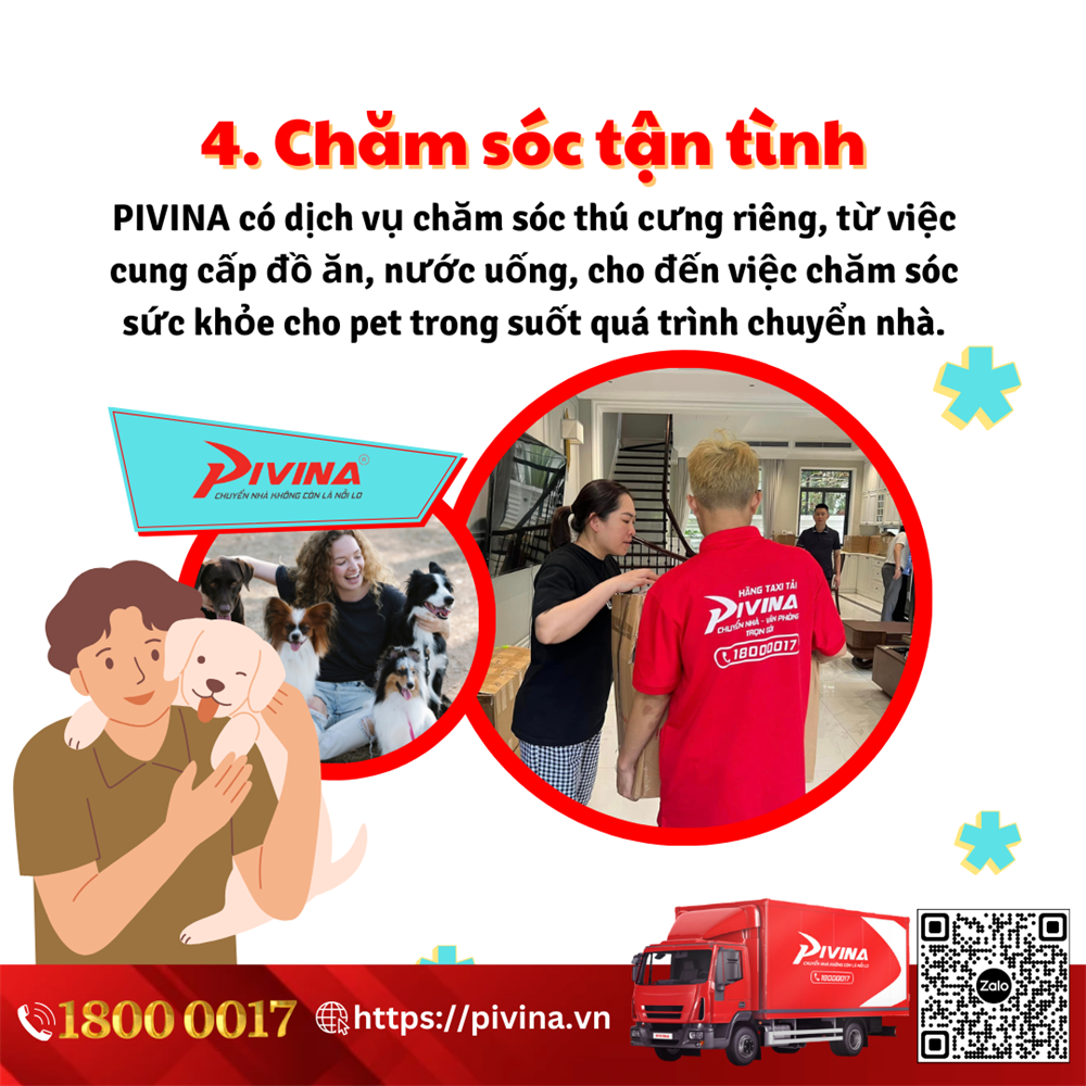 Dịch vụ chuyển nhà Pivina chăm sóc thú cưng của bạn tận tâm trong hành trình chuyển nhà